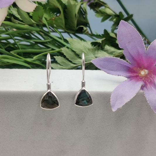 Trikash: Triangle-Cut Labradorite Hook Earrings
